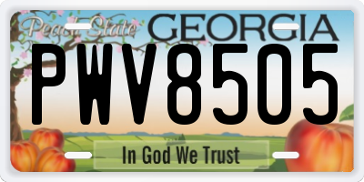 GA license plate PWV8505
