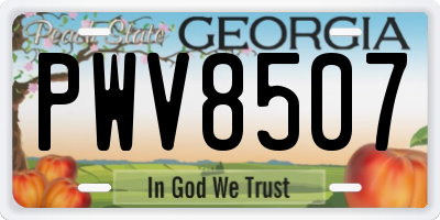 GA license plate PWV8507