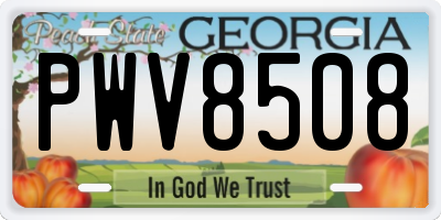 GA license plate PWV8508