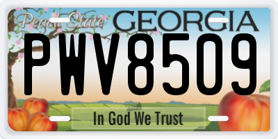 GA license plate PWV8509