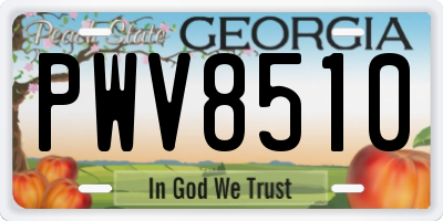 GA license plate PWV8510