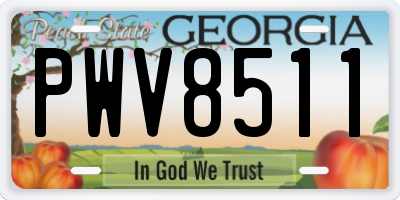 GA license plate PWV8511