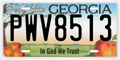 GA license plate PWV8513