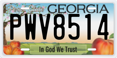 GA license plate PWV8514