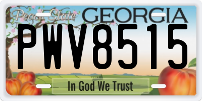 GA license plate PWV8515