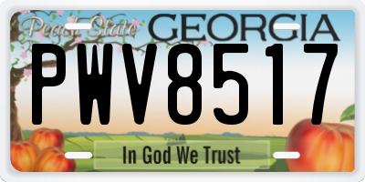 GA license plate PWV8517