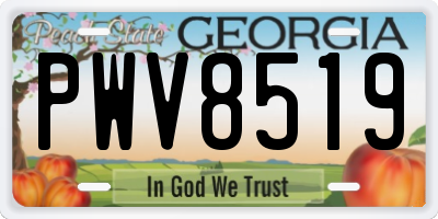 GA license plate PWV8519