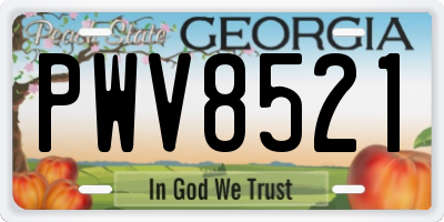 GA license plate PWV8521
