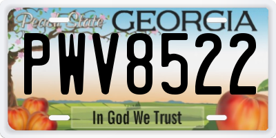 GA license plate PWV8522
