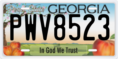 GA license plate PWV8523