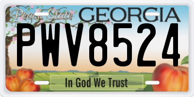 GA license plate PWV8524