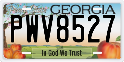 GA license plate PWV8527