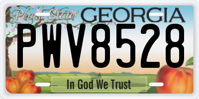 GA license plate PWV8528