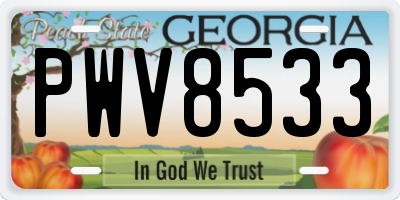 GA license plate PWV8533