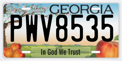 GA license plate PWV8535