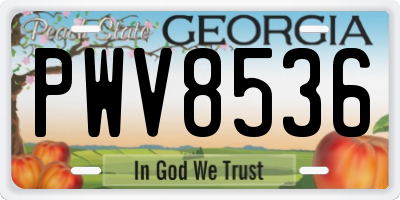 GA license plate PWV8536