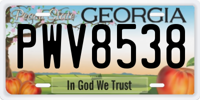 GA license plate PWV8538