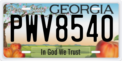GA license plate PWV8540