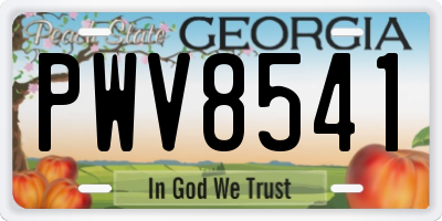 GA license plate PWV8541