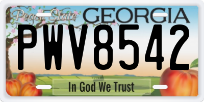 GA license plate PWV8542