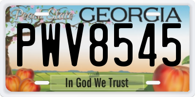 GA license plate PWV8545