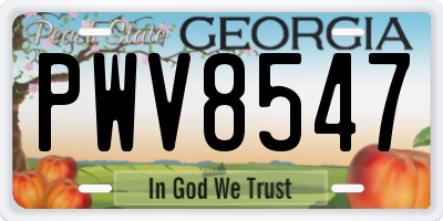 GA license plate PWV8547