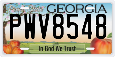 GA license plate PWV8548