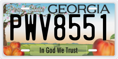 GA license plate PWV8551