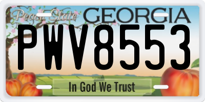 GA license plate PWV8553