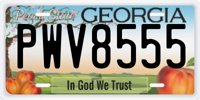 GA license plate PWV8555