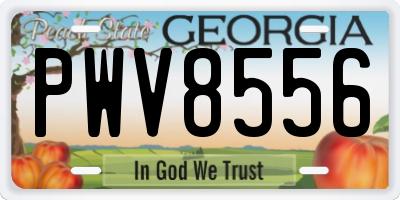 GA license plate PWV8556