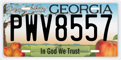 GA license plate PWV8557