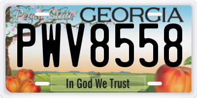 GA license plate PWV8558