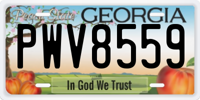 GA license plate PWV8559