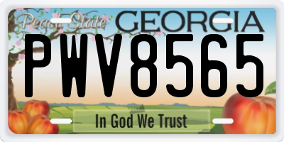GA license plate PWV8565