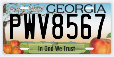 GA license plate PWV8567