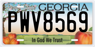 GA license plate PWV8569
