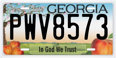 GA license plate PWV8573