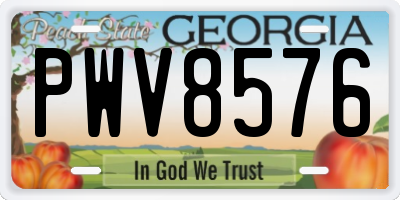 GA license plate PWV8576