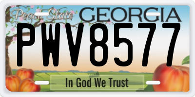 GA license plate PWV8577
