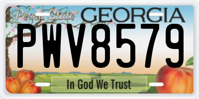 GA license plate PWV8579