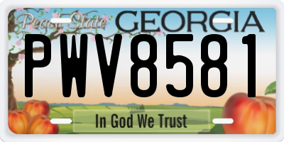 GA license plate PWV8581