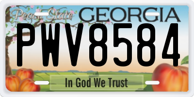 GA license plate PWV8584