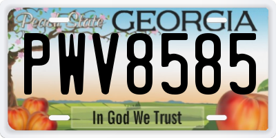 GA license plate PWV8585