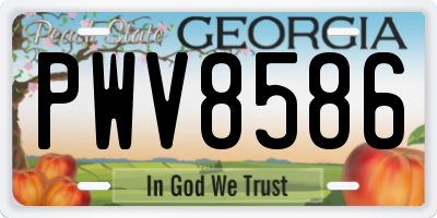 GA license plate PWV8586