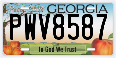 GA license plate PWV8587