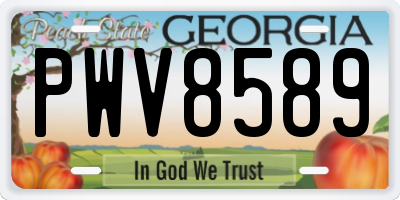 GA license plate PWV8589