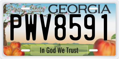 GA license plate PWV8591