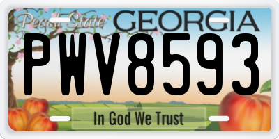 GA license plate PWV8593