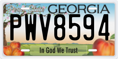 GA license plate PWV8594
